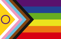 Imposed from the left on six horizontal stripes of red, orange, yellow, green, blue, and purple, is a chevron that starts with a field of yellow superimposed with a purple circle followed by angled stripes of white, pink, light blue, brown, and black.